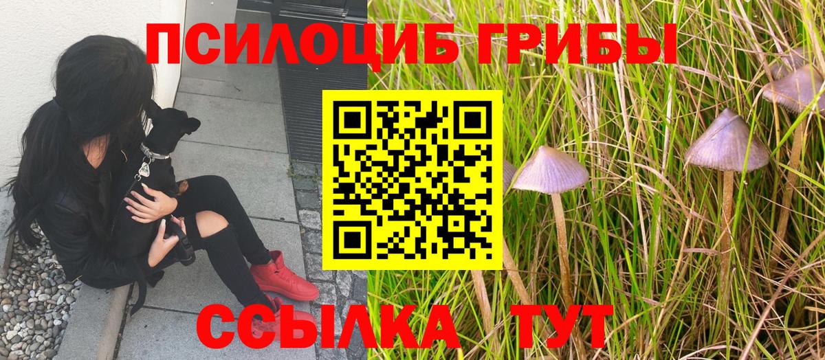 Псилоцибиновые грибы мицелий  Вход с VPN  Нижний Новгород  Галлюциногенные грибы Cubensis 